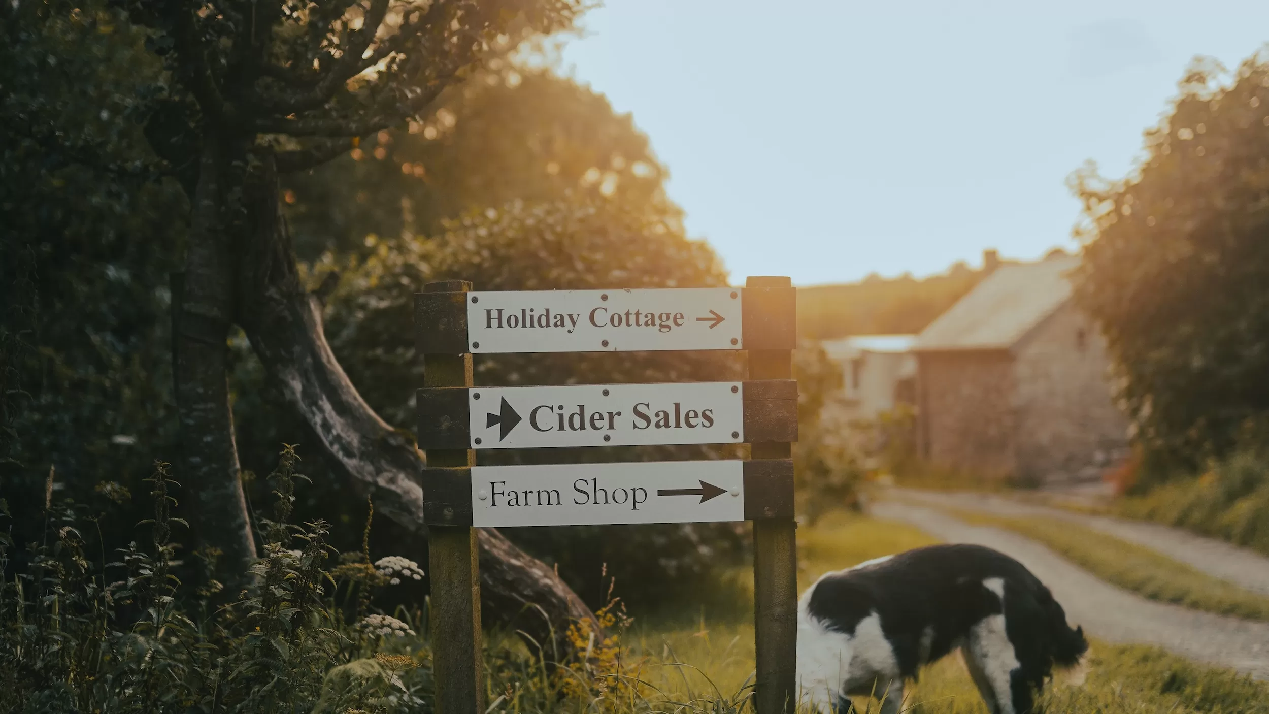 Farm Shops in the Cotswolds