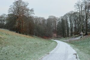Snow Much Fun! Top 5 Winter Walks in the Cotswolds